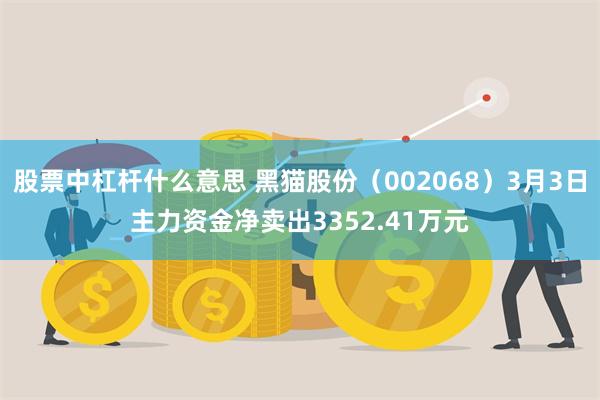 股票中杠杆什么意思 黑猫股份（002068）3月3日主力资金净卖出3352.41万元