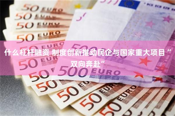 什么杠杆融资 制度创新推动民企与国家重大项目“双向奔赴”