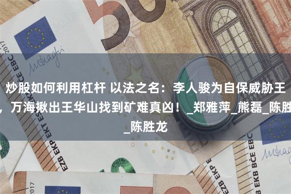 炒股如何利用杠杆 以法之名：李人骏为自保威胁王彧，万海揪出王华山找到矿难真凶！_郑雅萍_熊磊_陈胜龙