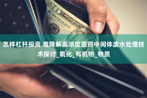 怎样杠杆投资 难降解高浓度医药中间体废水处理技术探讨_氧化_有机物_物质