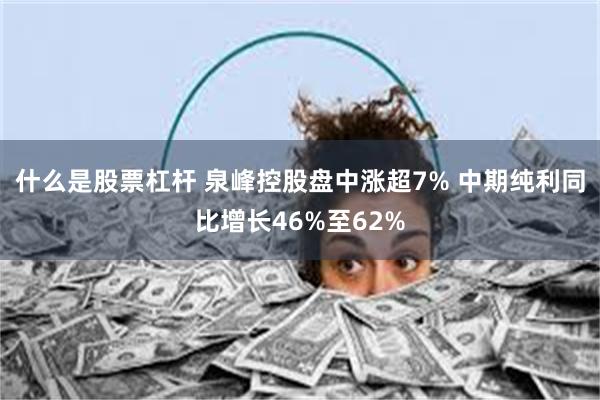 什么是股票杠杆 泉峰控股盘中涨超7% 中期纯利同比增长46%至62%