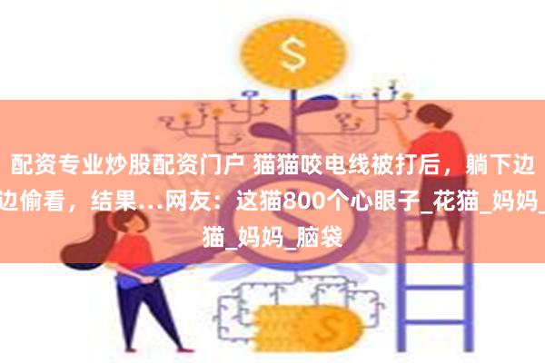 配资专业炒股配资门户 猫猫咬电线被打后，躺下边装睡边偷看，结果…网友：这猫800个心眼子_花猫_妈妈_脑袋