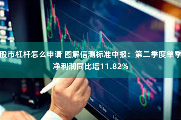 股市杠杆怎么申请 图解信测标准中报：第二季度单季净利润同比增11.82%