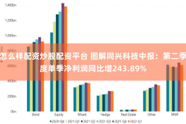 怎么样配资炒股配资平台 图解同兴科技中报：第二季度单季净利润同比增243.89%