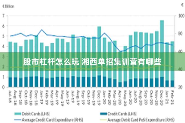 股市杠杆怎么玩 湘西单招集训营有哪些