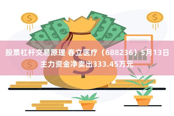 股票杠杆交易原理 春立医疗（688236）5月13日主力资金净卖出333.45万元