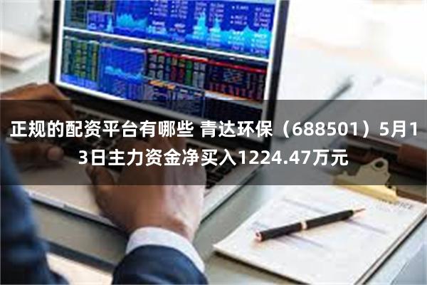 正规的配资平台有哪些 青达环保（688501）5月13日主力资金净买入1224.47万元