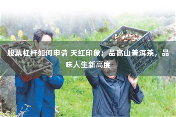 股票杠杆如何申请 天红印象：品高山普洱茶，品味人生新高度