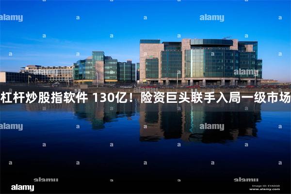 杠杆炒股指软件 130亿！险资巨头联手入局一级市场