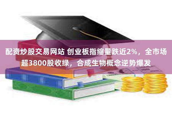 配资炒股交易网站 创业板指缩量跌近2%，全市场超3800股收绿，合成生物概念逆势爆发