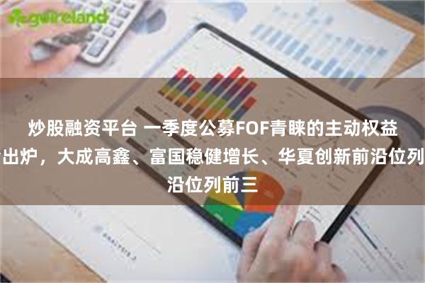 炒股融资平台 一季度公募FOF青睐的主动权益基金出炉，大成高鑫、富国稳健增长、华夏创新前沿位列前三