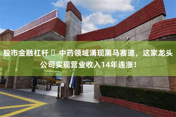股市金融杠杆 ​中药领域涌现黑马赛道，这家龙头公司实现营业收入14年连涨！