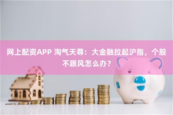 网上配资APP 淘气天尊：大金融拉起沪指，个股不跟风怎么办？