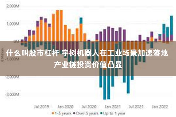 什么叫股市杠杆 宇树机器人在工业场景加速落地 产业链投资价值凸显