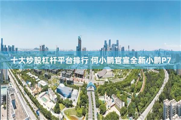 十大炒股杠杆平台排行 何小鹏官宣全新小鹏P7