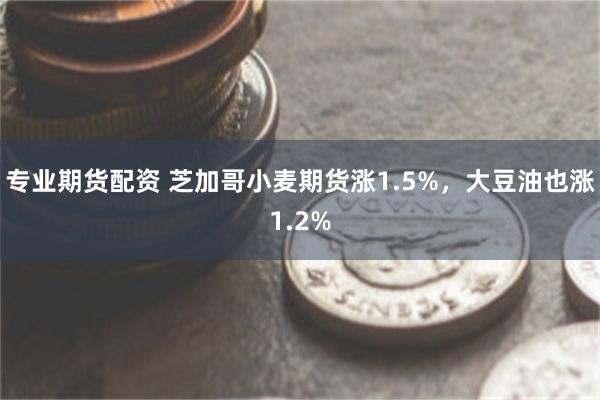 专业期货配资 芝加哥小麦期货涨1.5%，大豆油也涨1.2%