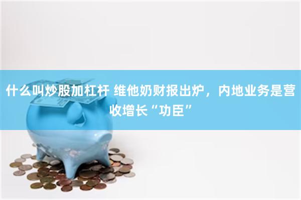 什么叫炒股加杠杆 维他奶财报出炉，内地业务是营收增长“功臣”