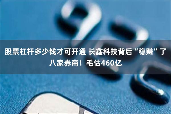 股票杠杆多少钱才可开通 长鑫科技背后“稳赚”了八家券商！毛估460亿