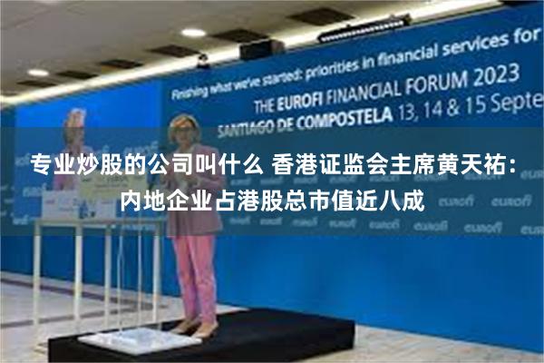 专业炒股的公司叫什么 香港证监会主席黄天祐：内地企业占港股总市值近八成