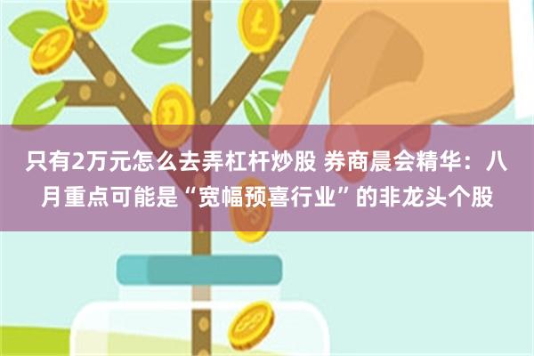 只有2万元怎么去弄杠杆炒股 券商晨会精华：八月重点可能是“宽幅预喜行业”的非龙头个股