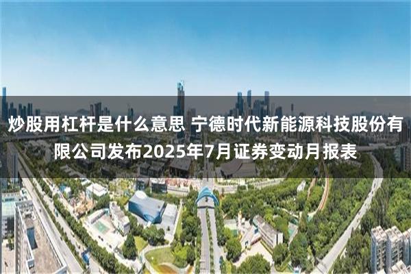 炒股用杠杆是什么意思 宁德时代新能源科技股份有限公司发布2025年7月证券变动月报表