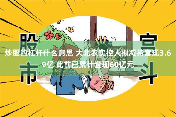 炒股的杠杆什么意思 大北农实控人拟减持套现3.69亿 此前已累计套现60亿元