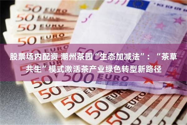 股票场内配资 潮州茶园“生态加减法”：“茶草共生”模式激活茶产业绿色转型新路径