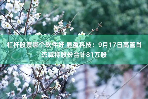 杠杆股票哪个软件好 显盈科技：9月17日高管肖杰减持股份合计81万股