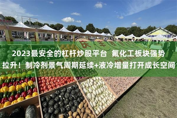 2023最安全的杠杆炒股平台 氟化工板块强势拉升!制冷剂景气周期延续+液冷增量打开成长空间