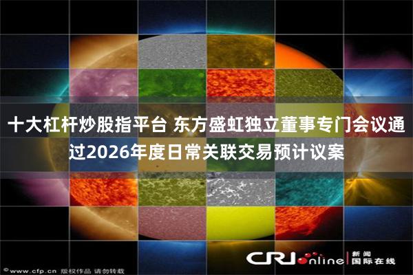 十大杠杆炒股指平台 东方盛虹独立董事专门会议通过2026年度日常关联交易预计议案