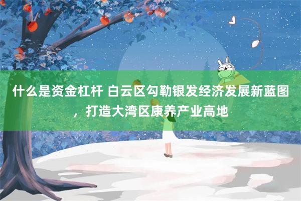 什么是资金杠杆 白云区勾勒银发经济发展新蓝图，打造大湾区康养产业高地