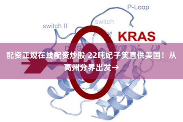 配资正规在线配资炒股 22吨妃子笑直供美国！从高州分界出发→