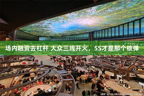 场内融资去杠杆 大众三线开火，5S才是那个核弹