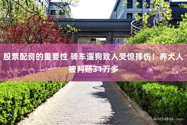 股票配资的重要性 骑车遛狗致人受惊摔伤！养犬人被判赔31万多