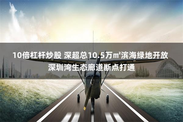 10倍杠杆炒股 深超总10.5万㎡滨海绿地开放 深圳湾生态廊道断点打通