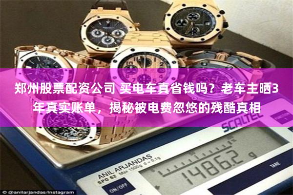 郑州股票配资公司 买电车真省钱吗?老车主晒3年真实账单,揭秘被电费忽悠的残酷真相