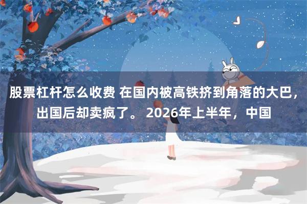 股票杠杆怎么收费 在国内被高铁挤到角落的大巴，出国后却卖疯了。 2026年上半年，中国