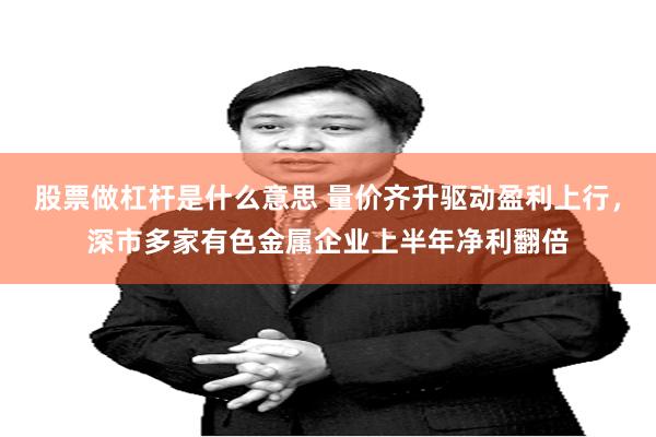 股票做杠杆是什么意思 量价齐升驱动盈利上行，深市多家有色金属企业上半年净利翻倍