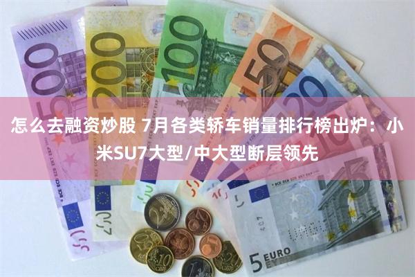 怎么去融资炒股 7月各类轿车销量排行榜出炉：小米SU7大型/中大型断层领先