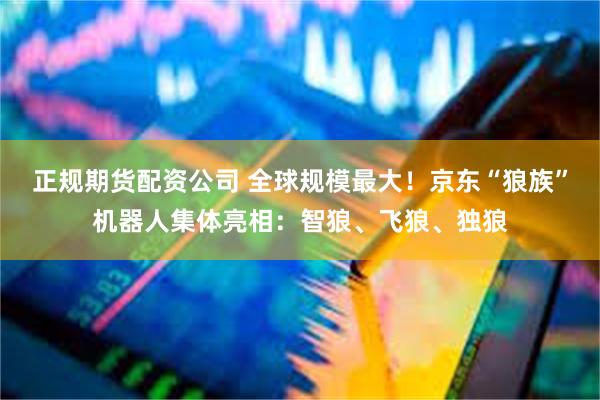 正规期货配资公司 全球规模最大！京东“狼族”机器人集体亮相：智狼、飞狼、独狼