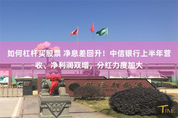 如何杠杆买股票 净息差回升！中信银行上半年营收、净利润双增，分红力度加大