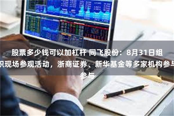 股票多少钱可以加杠杆 同飞股份：8月31日组织现场参观活动，浙商证券、新华基金等多家机构参与