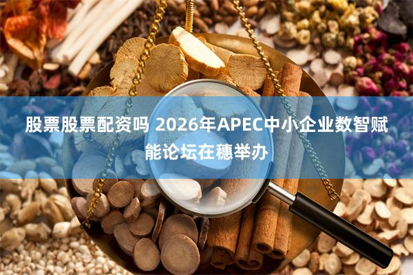 股票股票配资吗 2026年APEC中小企业数智赋能论坛在穗举办
