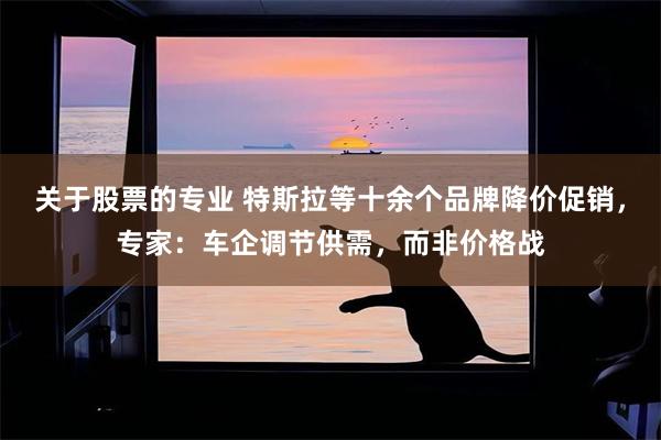 关于股票的专业 特斯拉等十余个品牌降价促销，专家：车企调节供需，而非价格战