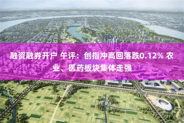 融资融券开户 午评：创指冲高回落跌0.12% 农业、医药板块集体走强