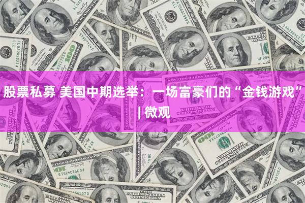 股票私募 美国中期选举：一场富豪们的“金钱游戏” | 微观