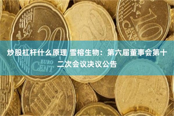 炒股杠杆什么原理 雪榕生物:第六届董事会第十二次会议决议公告