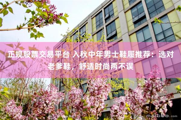 正规股票交易平台 入秋中年男士鞋履推荐：选对老爹鞋，舒适时尚两不误