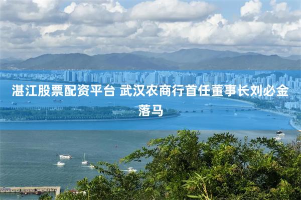 湛江股票配资平台 武汉农商行首任董事长刘必金落马