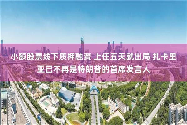 小额股票线下质押融资 上任五天就出局 扎卡里亚已不再是特朗普的首席发言人